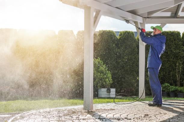 Best Patio and Deck Pressure Washing  in Crystal Lawns, IL